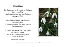 Schneeglöckchen-Rückert.pdf